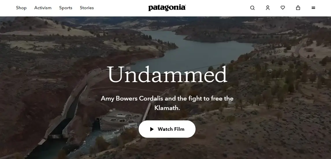 Patagonia website